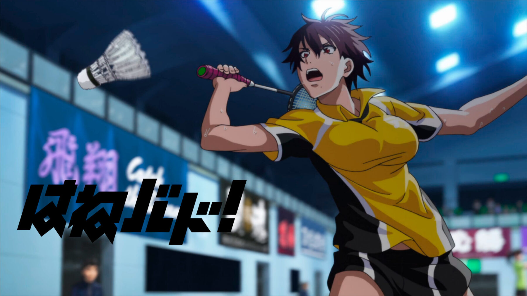 hanebado serie anime de badminton hanebado