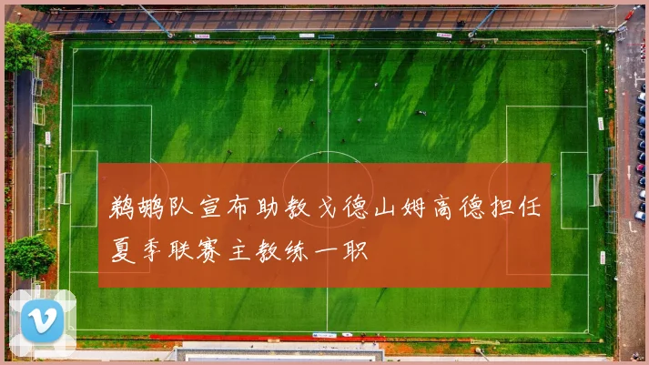 鹈鹕队宣布助教戈德山姆高德担任夏季联赛主教练一职